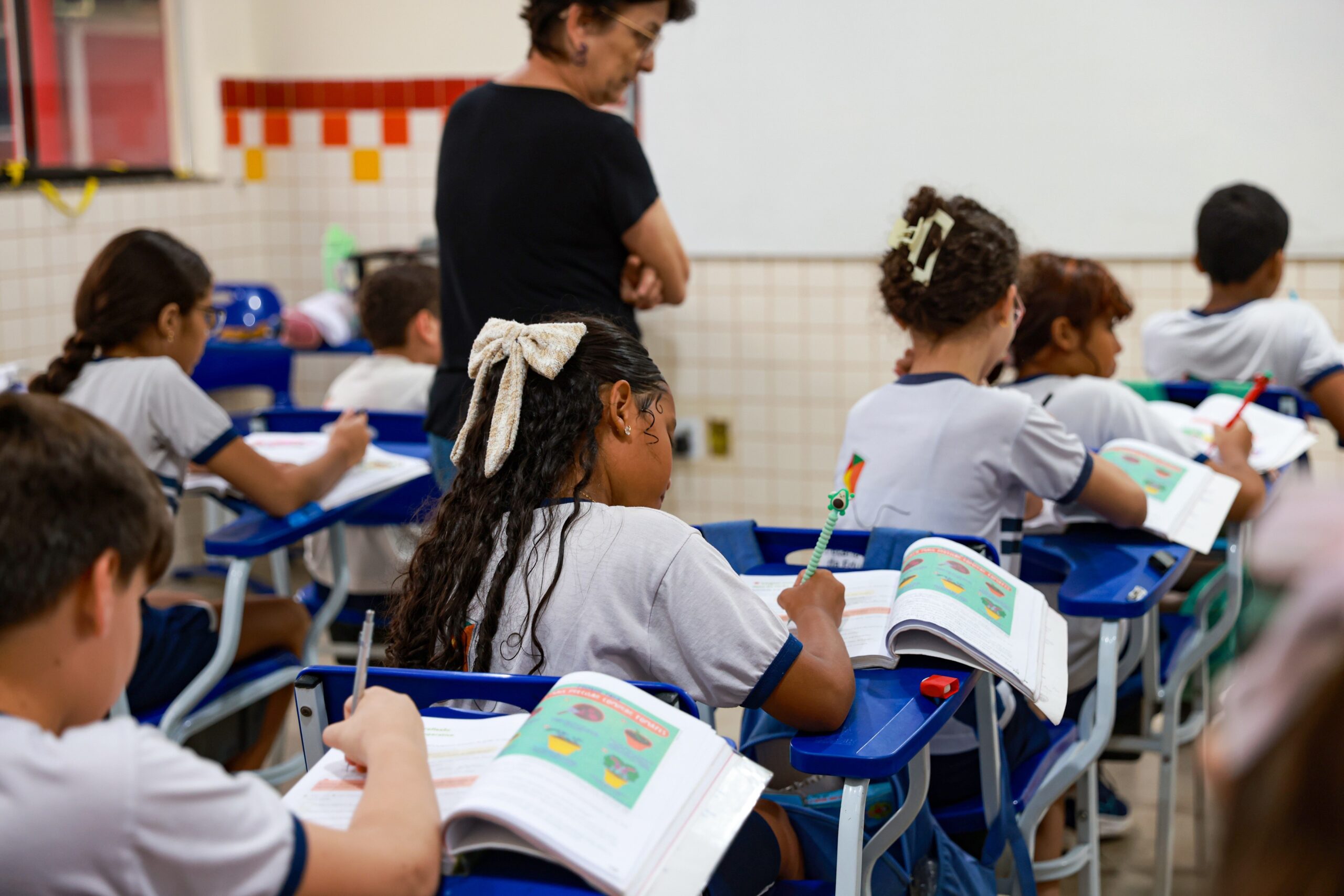 Investimento em infraestrutura, bons índices de ensino e qualificação profissional marcam educação palmense