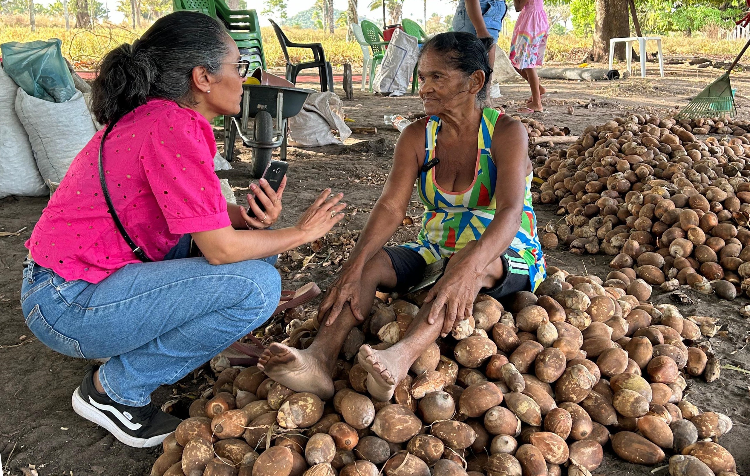 Exposição “Somos Raimundas” destaca a força das quebradeiras de coco babaçu na região Norte do estado